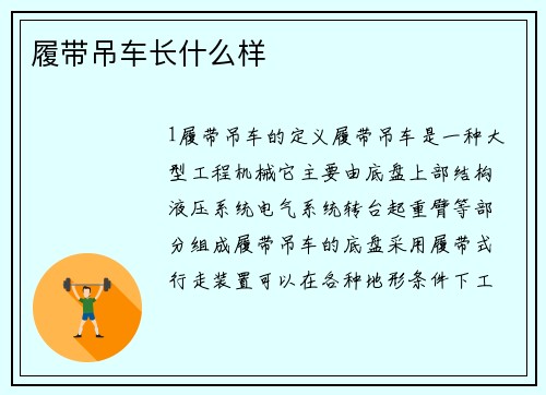 履带吊车长什么样