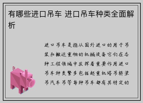 有哪些进口吊车 进口吊车种类全面解析