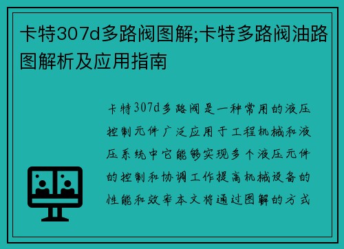 卡特307d多路阀图解;卡特多路阀油路图解析及应用指南