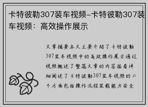 卡特彼勒307装车视频-卡特彼勒307装车视频：高效操作展示