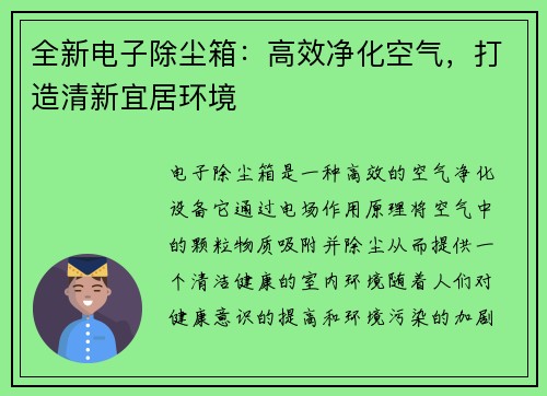 全新电子除尘箱：高效净化空气，打造清新宜居环境